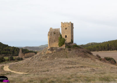 Castillo de Yecla_DS_0381