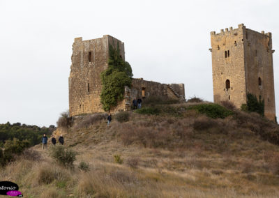 Castillo de Yecla_DS_0407