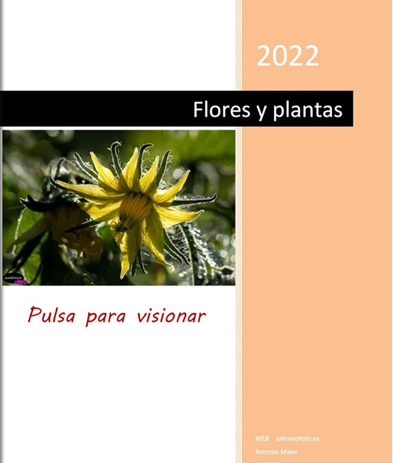 Cuaderno de plantas