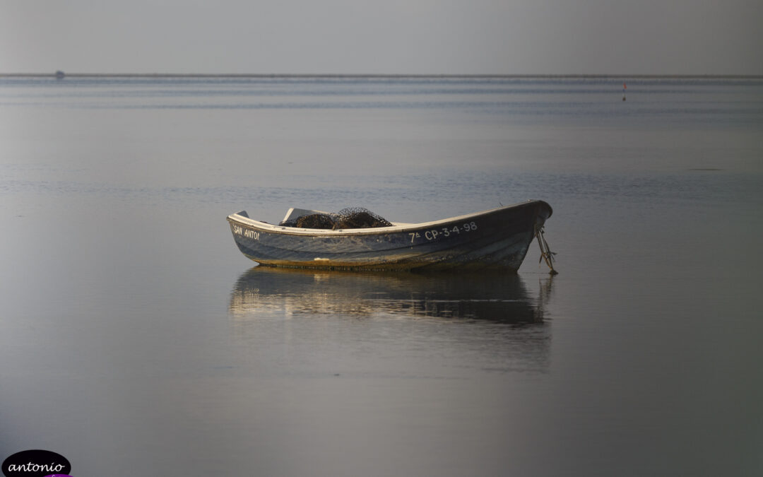 El Delta en Agosto