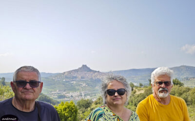 Morella